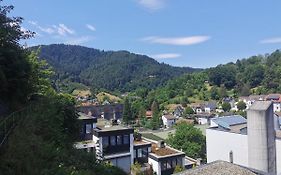 Terrassenwohnung mit toller Aussicht&zentrumsnah